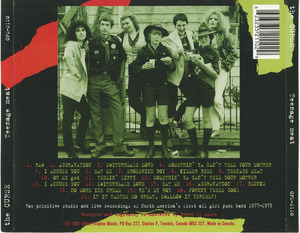 Cd curse   teenage meat inlay