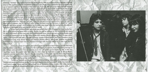 Cd dishrags   love hate booklet pages 3 4