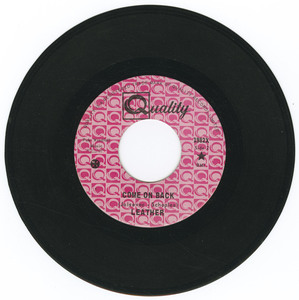 45 leather   wonderful vinyl 02