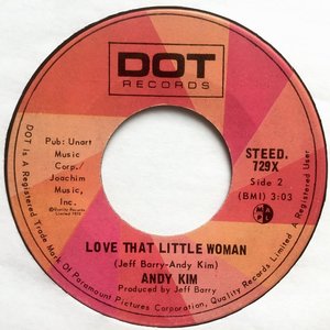 Andy kim love that little woman bi