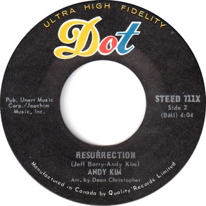 Andy kim resurrection dot bii
