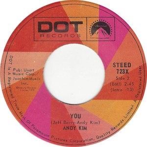 Andy kim you dot b vii