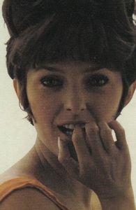Michel dominique