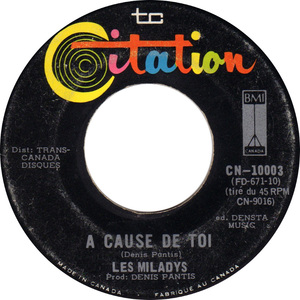 Les miladys a cause de toi citation 2