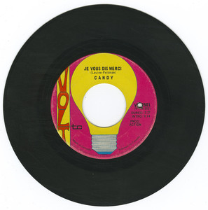 45 candy   seize raisons vinyl 02