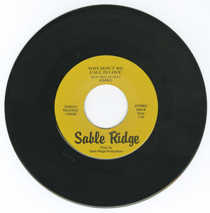 45 sable ridge   saanich road vinyl 02