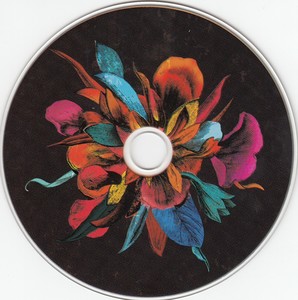 Perreau yann un serpent sous les fleurs 2009 cd
