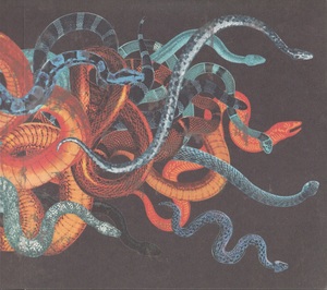 Perreau yann un serpent sous les fleurs 2009 int%c3%a9rieur droit