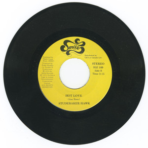 45 studebaker hawk   rainbows  pots of gold   moonbeams vinyl 02