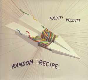 Random recipe fold it mold it 2010 couverture