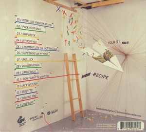 Random recipe fold it mold it 2010 dos