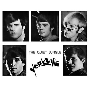 The quiet jungle 001001 squared