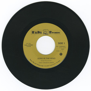 45 chosen ones   song in the wind vinyl 01