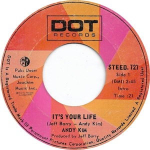 Andy kim its your life dot a