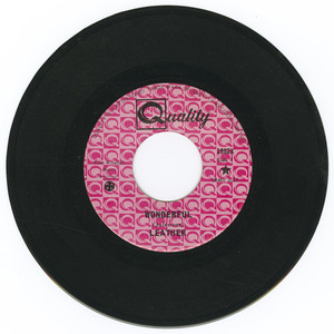 45 leather   wonderful vinyl 01