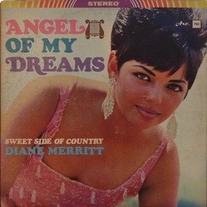 Diane merritt   angel of my dreams   front