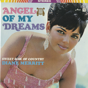 Diane merritt   angel of my dreams front