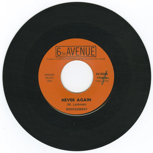 45 montgomery   marilyn avenue bw never again vinyl 01
