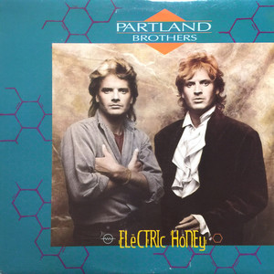 Partland brothers %e2%80%93 electric honey %281%29