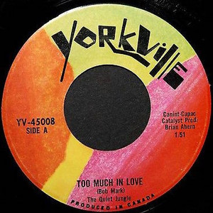 Quiet jungle  too much in love bw make up your mind %281%29