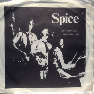 Spice   beautiful you bw just a little bit %281%29