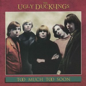 無料発送 Ugly_Ducklings_- その他