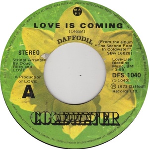 A foot in coldwater love is coming daffodil a x