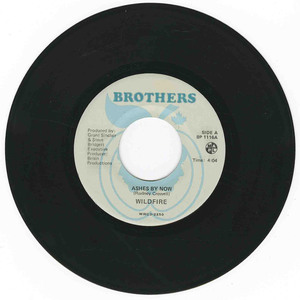 45 wildfire   ashes by bw detour vinyl 01
