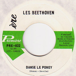 Beethovens   danse le poney bw toi ma chance %282%29