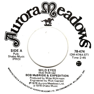 Bob mcbride and expedition wild eyes aurora meadows a